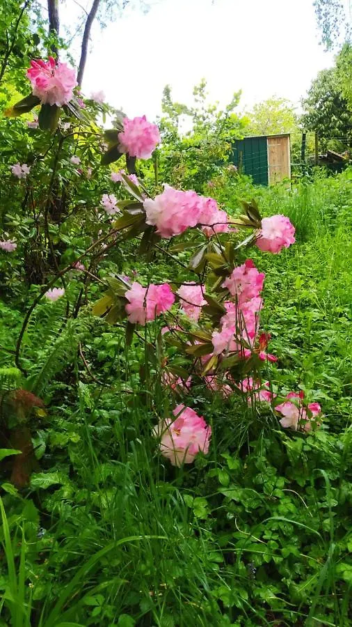Ker Anahid - L'Atelier Bed & Breakfast Pleslin-Trigavou France